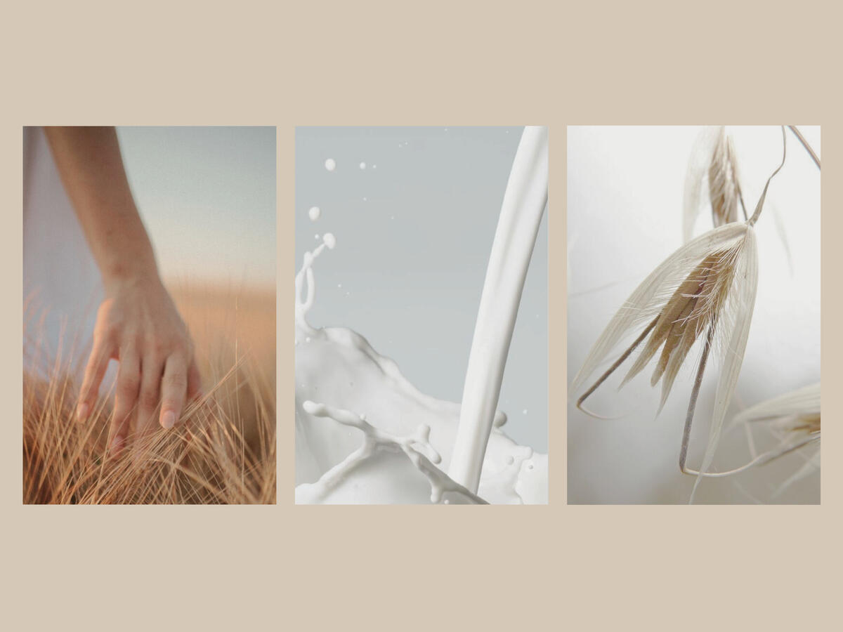 oath-slide-04 oath-slide-04